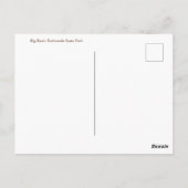 Sequoia Sempervirens Briefkaart (Achterkant)