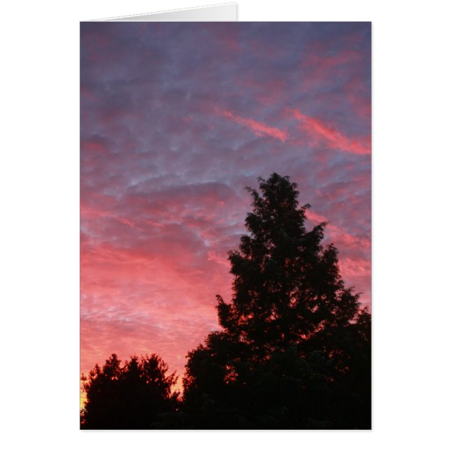 Sequoia Sunrise (Voorkant)