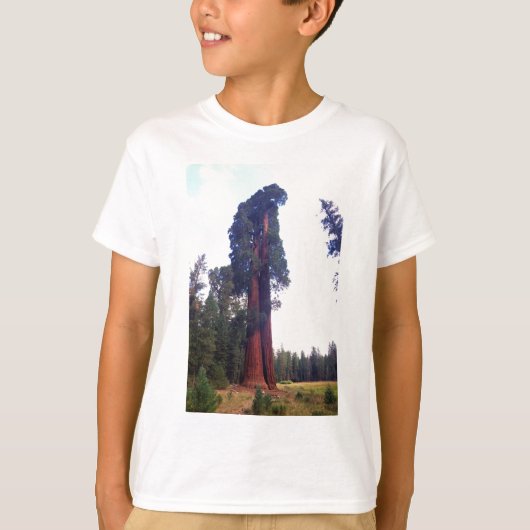 Sequoia T-shirt (Voorkant)