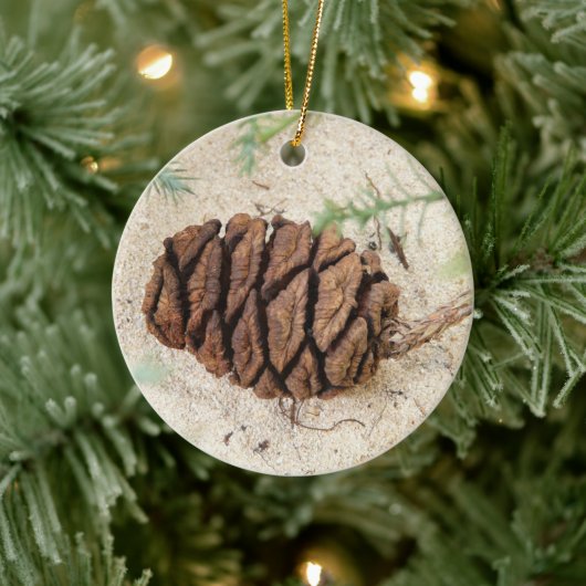 Sequoia Tree Cone, Giant Redwood Ornament (Boom)