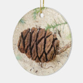 Sequoia Tree Cone, Giant Redwood Ornament (Links)