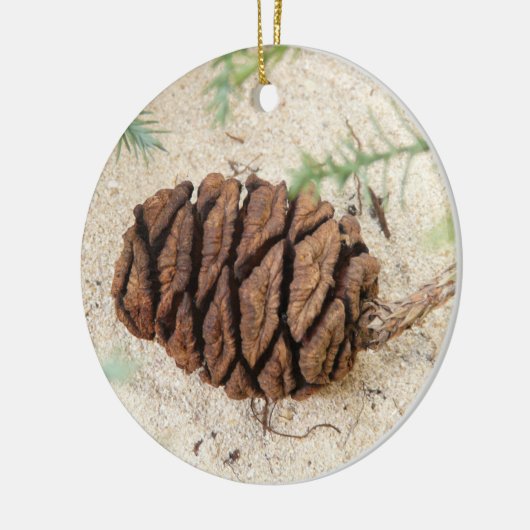 Sequoia Tree Cone, Giant Redwood Ornament (Links)
