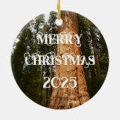 Sequoia Tree Cone, Giant Redwood Ornament (Achterkant)