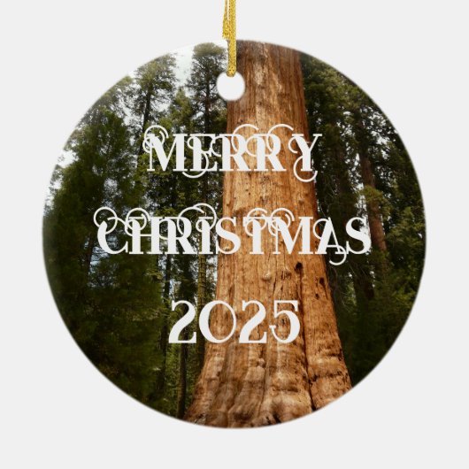 Sequoia Tree Cone, Giant Redwood Ornament (Achterkant)