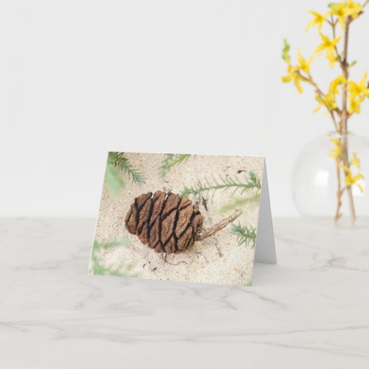 Sequoia Tree Cone op Sandy Ground Kaart (Gele Bloem)