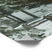 Sequoia Tree Poster (Hoek)