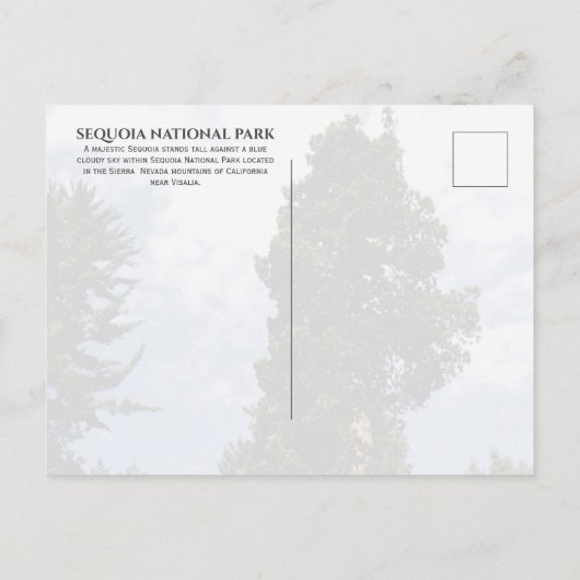 Sequoia Tree tegen Blue Sky, Sequoia NP Briefkaart (Achterkant)