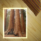 Sequoia Trees, Nationaal Park Sequoia, Californië Legpuzzel