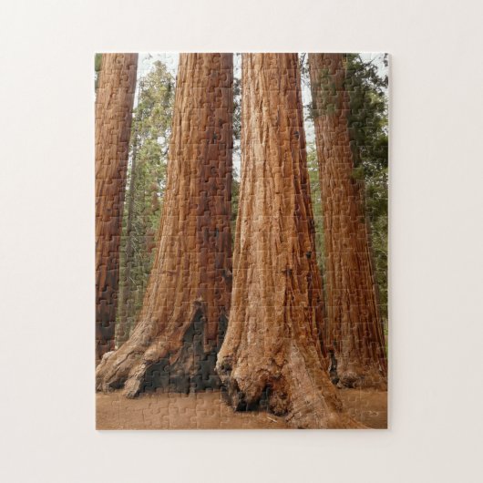 Sequoia Trees, Nationaal Park Sequoia, Californië Legpuzzel (Verticaal)