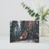 Sequoia Tunnel Tree Californië, 1952 Briefkaart (Staand voorkant)