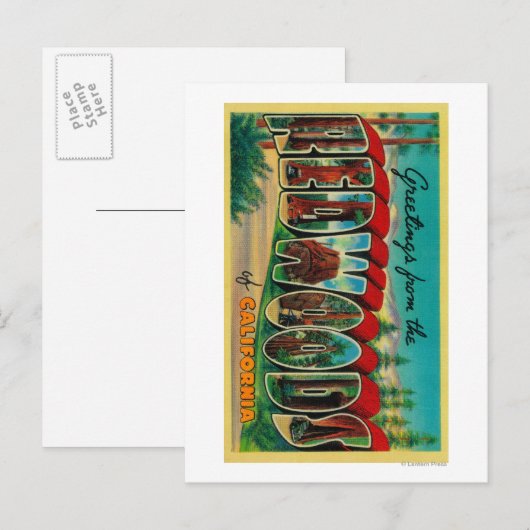 sequoia's, Californië - grote lettertjes Briefkaart (Voorkant / Achterkant)