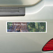 Sequoias Forrests Bark Fences Bumpersticker (Op auto)