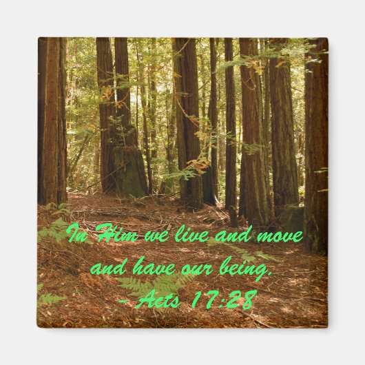 Sequoias Magneet (Voorkant)