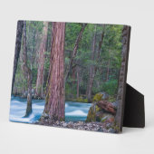 Sequoia's & Merced River Yosemite National Park, C Fotoplaat (Zijkant)