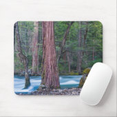 Sequoia's & Merced rivier Yosemite National Park,  Muismat (Met muis)