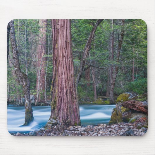 Sequoia's & Merced rivier Yosemite National Park,  Muismat (Voorkant)