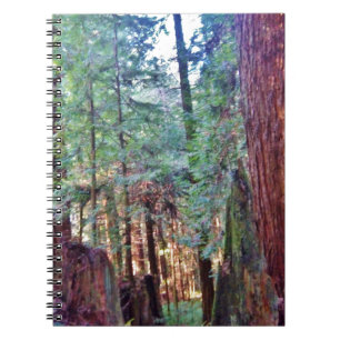 sequoia's Series nr. 2: Door de bomen Notitieboek