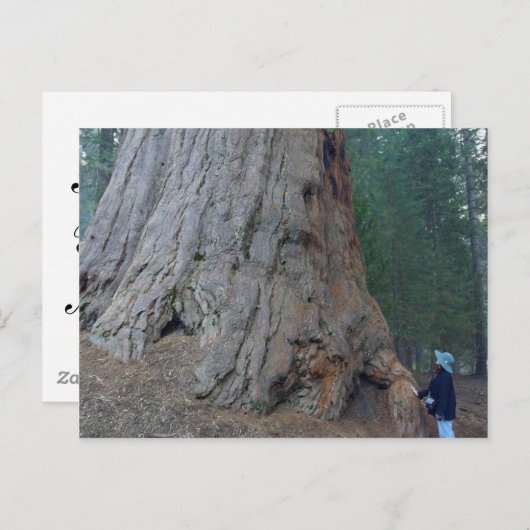 Sequoias Trees Giants Briefkaart (Voorkant / Achterkant)