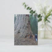 Sequoias Trees Giants Briefkaart (Staand voorkant)