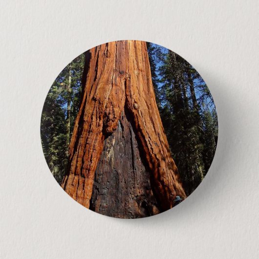 Sequoias Trees Giants Burned Bark Ronde Button 5,7 Cm (Voorkant)