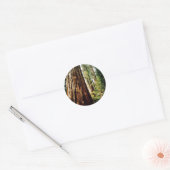 sequoia's- Yosemite Ronde Sticker (Envelop)