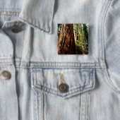 sequoia's- Yosemite Vierkante Button 5,1 Cm (In situ)