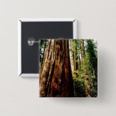 sequoia's- Yosemite Vierkante Button 5,1 Cm (Voorkant /achterkant)