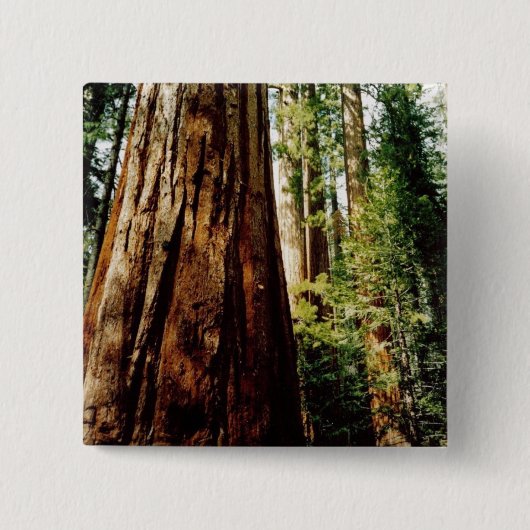 sequoia's- Yosemite Vierkante Button 5,1 Cm (Voorkant)