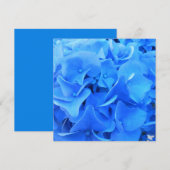 Serafine (Voorkant / Achterkant)