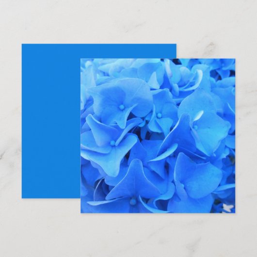 Serafine (Voorkant / Achterkant)