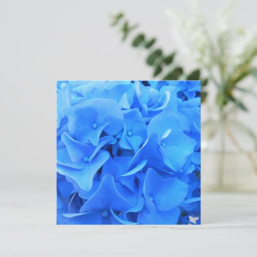 Serafine (Staand voorkant)