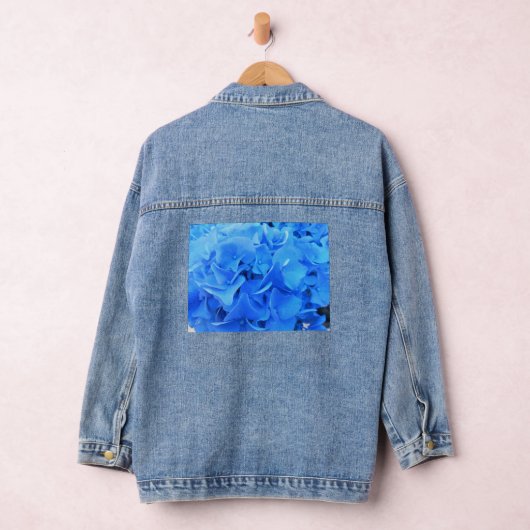 Serafine Denim Jacket (Hangar)