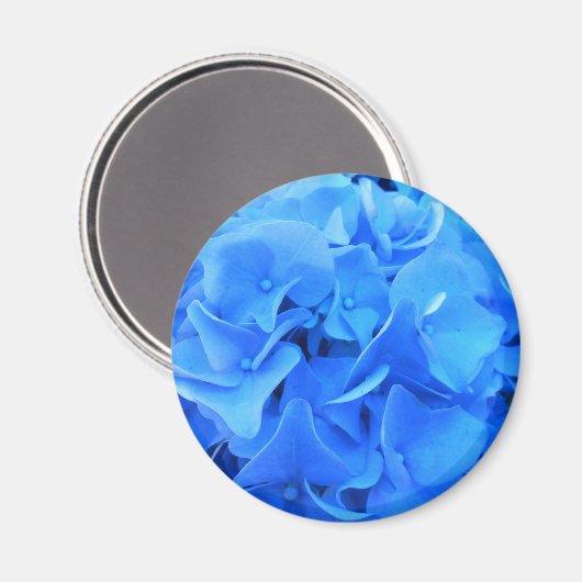 Serafine Magneet (Voorkant / Achterkant)