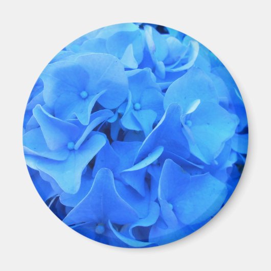 Serafine Magneet (Voorkant)