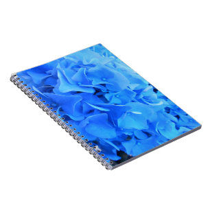 Serafine Notitieboek