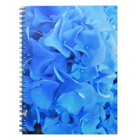 Serafine Notitieboek (Voorkant)