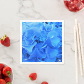 Serafine Servet (Insitu)