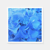 Serafine Servet (Voorkant)