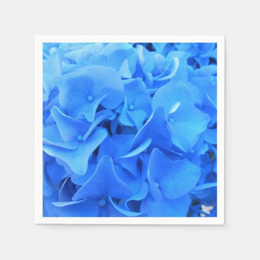 Serafine Servet (Voorkant)