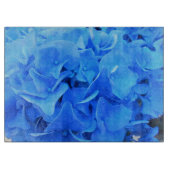 Serafine Snijplank (Voorkant)