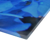 Serafine Snijplank (Hoek)