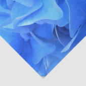 Serafine Tissuepapier (Detail)