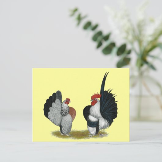 Serama Bantams Briefkaart (Staand voorkant)