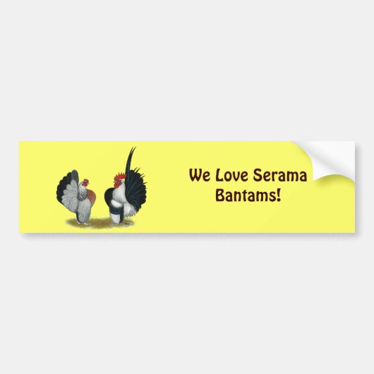 Serama Bantams Bumpersticker (Voorkant)