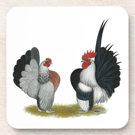 Serama Bantams Drankjes Onderzetter (Voorkant)