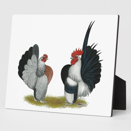 Serama Bantams Fotoplaat (Zijkant)