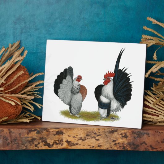 Serama Bantams Fotoplaat (Zijkant)