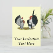 Serama Bantams Kaart (Staand voorkant)