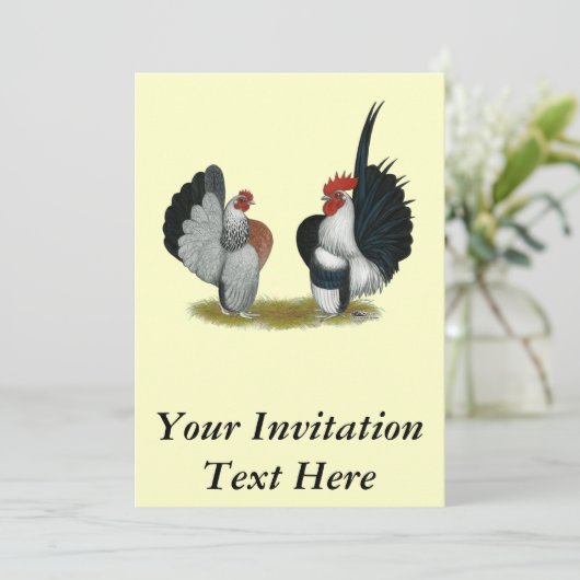 Serama Bantams Kaart (Staand voorkant)