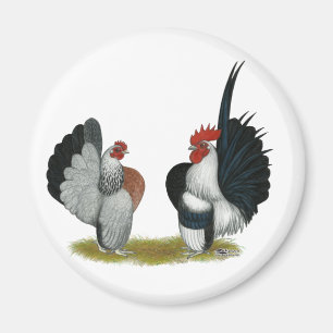 Serama Bantams Magneet